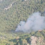 Antalya'da orman yangını!  – Türkiye'den son dakika haberleri