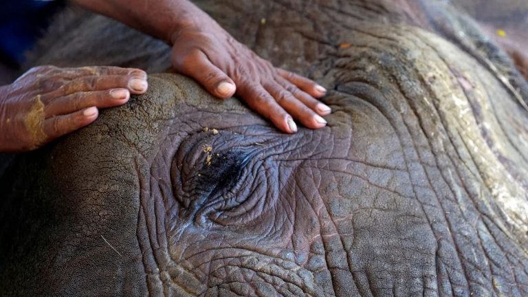 1200x675 cmsv2 638641a0 e06e 5728 b480 4b79a3d33812 8671766