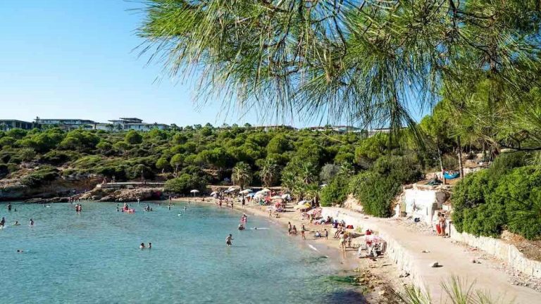 60bf68e8d265a226442ca8fd