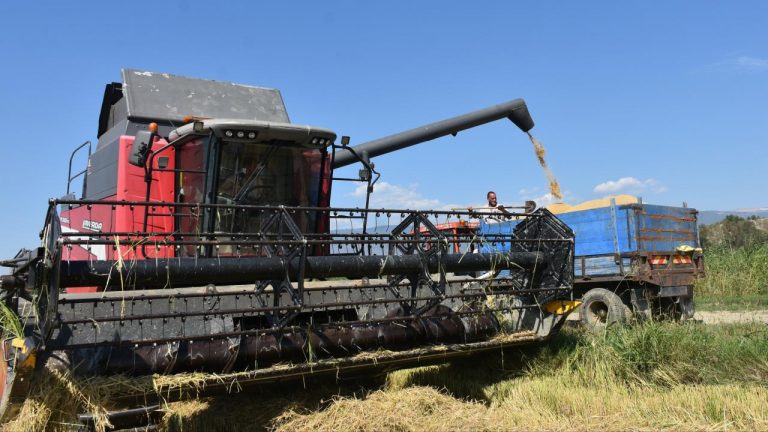 sinop celtik aa 2280095