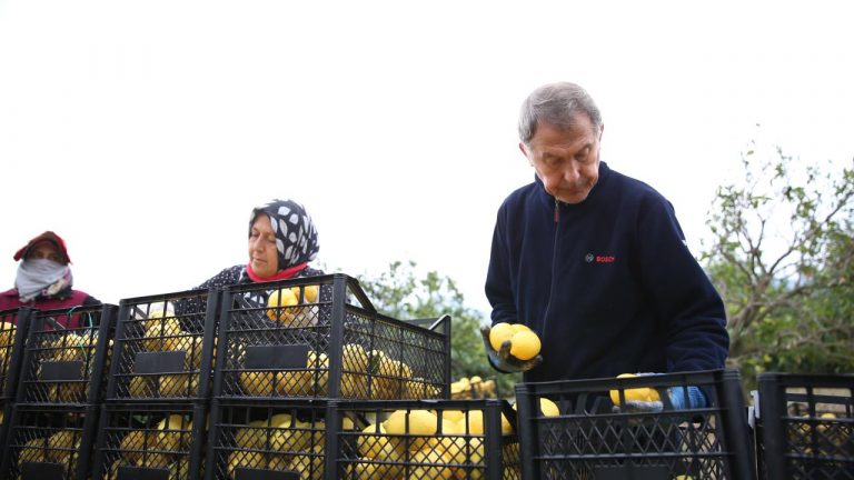 deprem destek 2303663