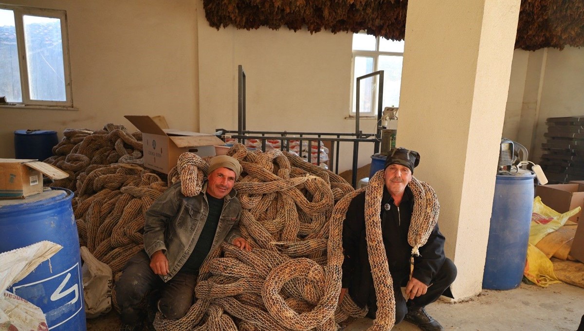 Güncel fiyatı 180 TL: Üreticiden beklenen fiyat 450 TL: