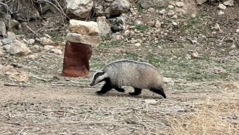 JHD5Tkp7NUSC31JLO0Jfew