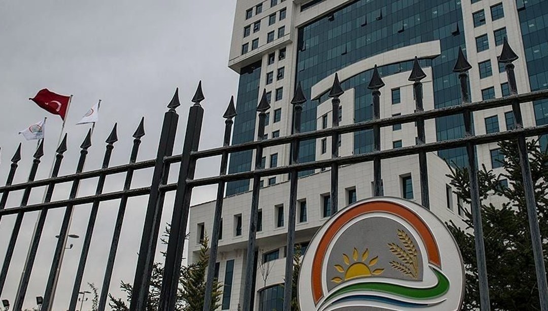 RecALgmF0CW 4LW8gCWOw