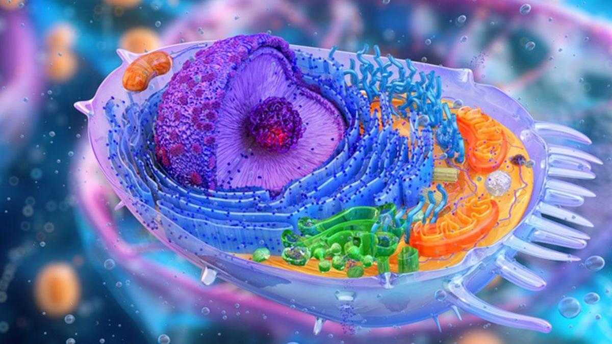 67e2a47ce379732adde9d255