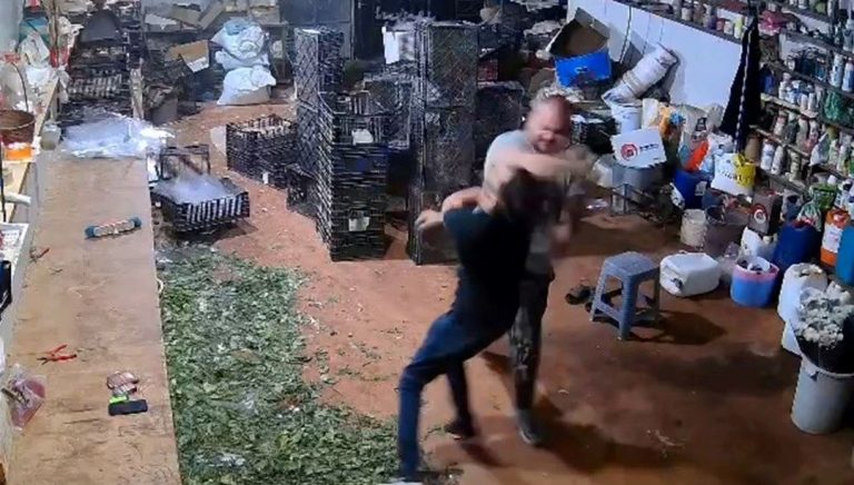 HxqG8Eh8OEu7dNeX8qrB6w