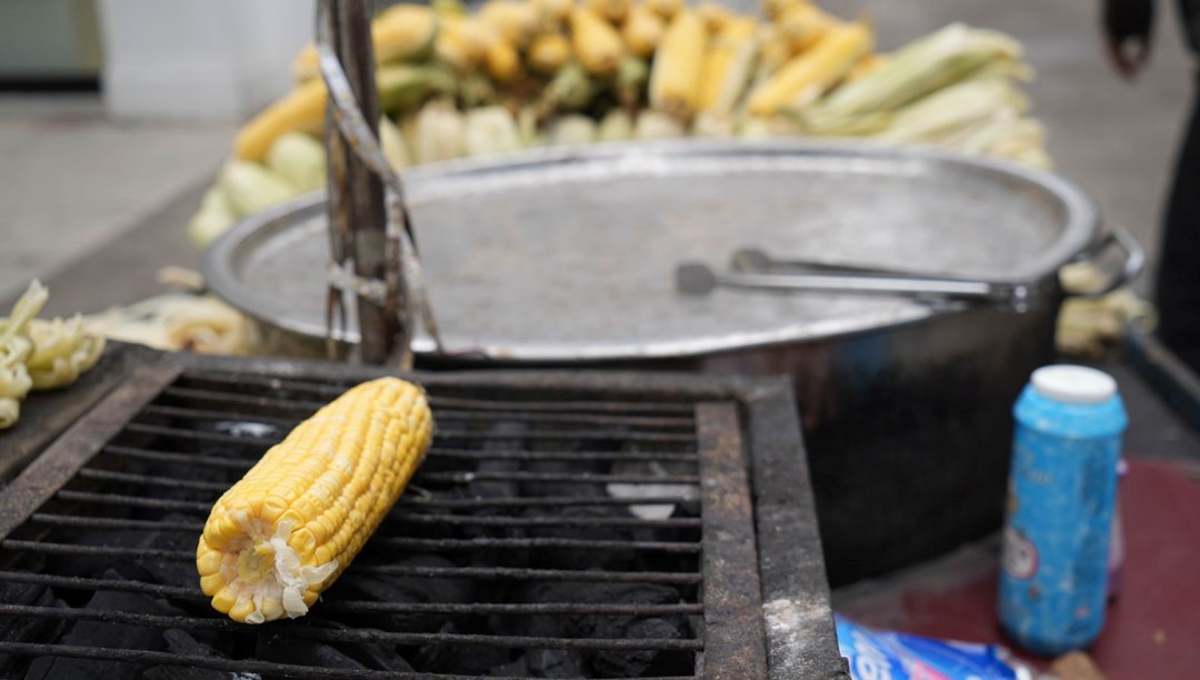 g6LeCRtefUyul6QvLJ9naQ