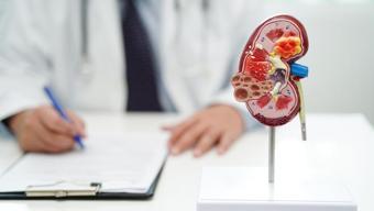 Kalın Bağırsak Görevi Nedir? Kalın Bağırsak Fonksiyonları ve Özellikleri Nelerdir? 3 1746488180 305 Kalin Bagirsak Gorevi Nedir Kalin Bagirsak Fonksiyonlari ve Ozellikleri Nelerdir