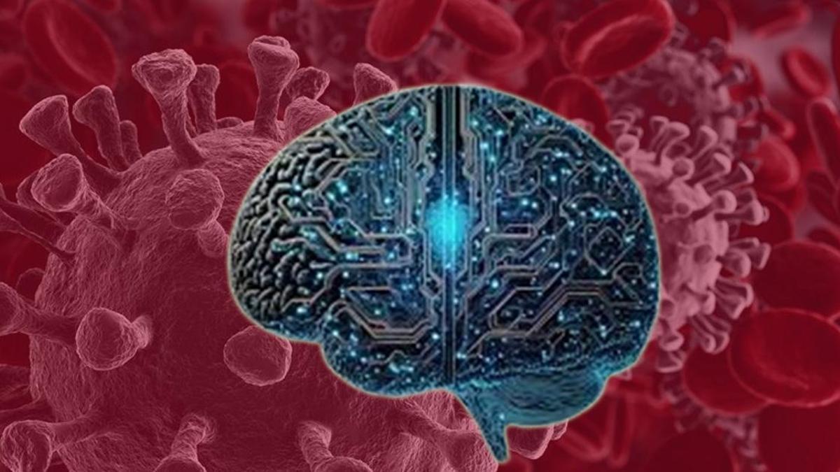 682604e4a241cc3e6d224a12