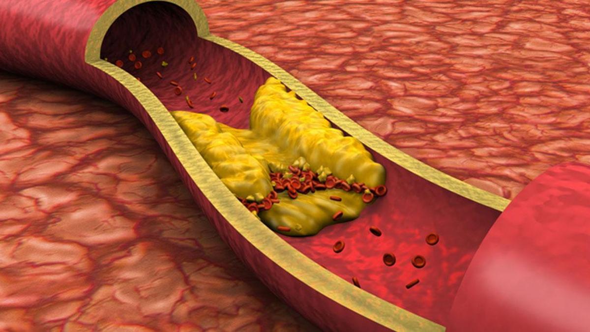 68347b900240c6da461b0e6b