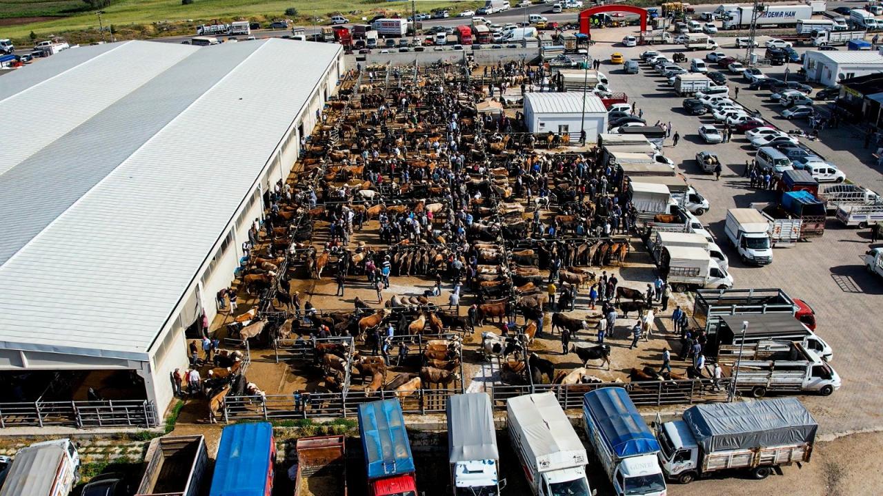 ankara kurban pazari a 2239958