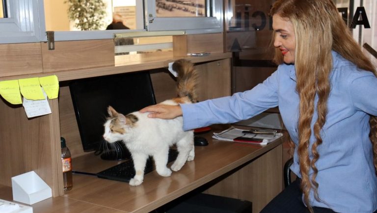 s4CazLiSBU hxmHaCZlTww