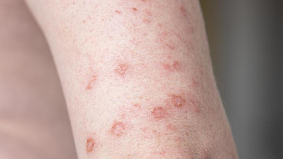 684d43e50240c6da461b3708