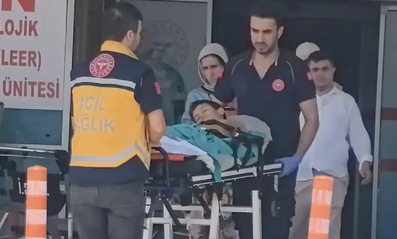 Kurban kesimi sırasında feci kaza: 7 yaşındaki Çınar, bıçağın üzerine düşerek ağır yaralandı - Son Dakika Türkiye Haberleri 1 Kurban kesimi sirasinda feci kaza 7 yasindaki Cinar bicagin uzerine