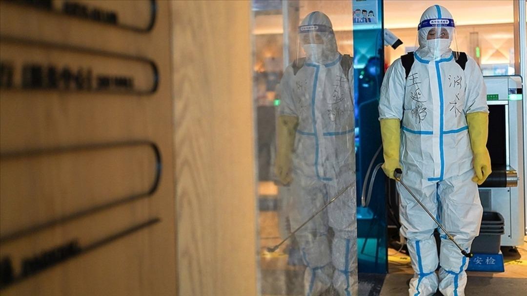 Çin'de yarasa yeni bir virüs alarmı var mı? 'Henipavirus' bu gerçekten bir tehdit mi? Uzmandan önemli açıklamalar ... 4