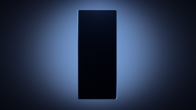 20523311 700x400