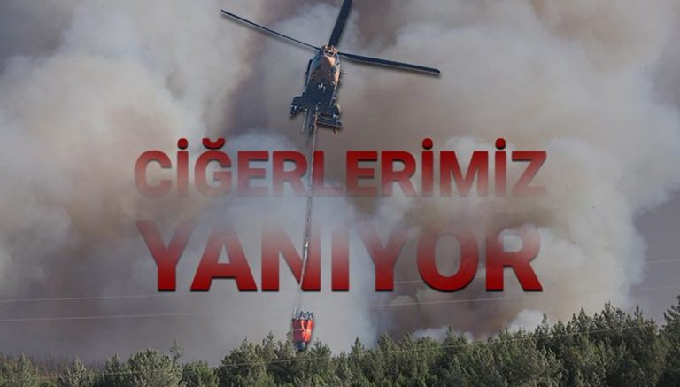 5KApKDlwLU MF0mYcPJZw