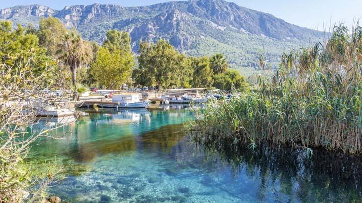 60c61545c8c3732780aa9fa5