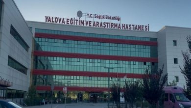 y5LjiUvWg06ckOVmVOdysA