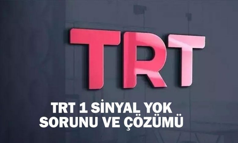 66f53b4ac300a670d4b74342