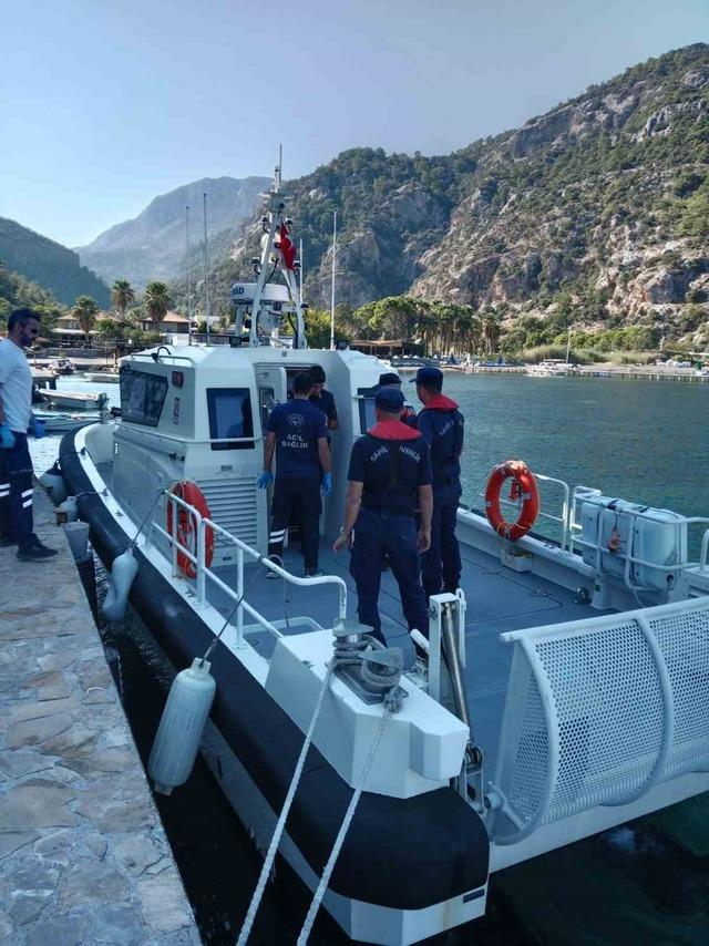 Doğanın Yürüyüşü 2