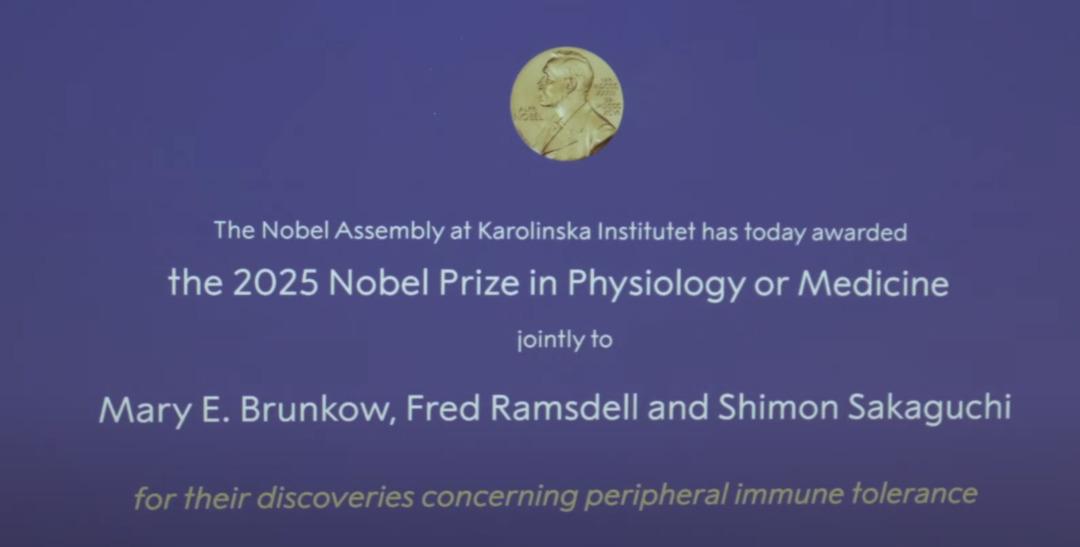 2025 Nobel Tıp Ödülü'nü kazananlar açıklandı! 2025 Nobel Tıp Ödülü'nü kim kazandı? 2