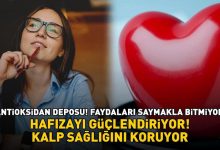 68f3db35586197a571ccae1c
