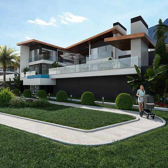 737231358 zenith webgorseli 555x555px 1