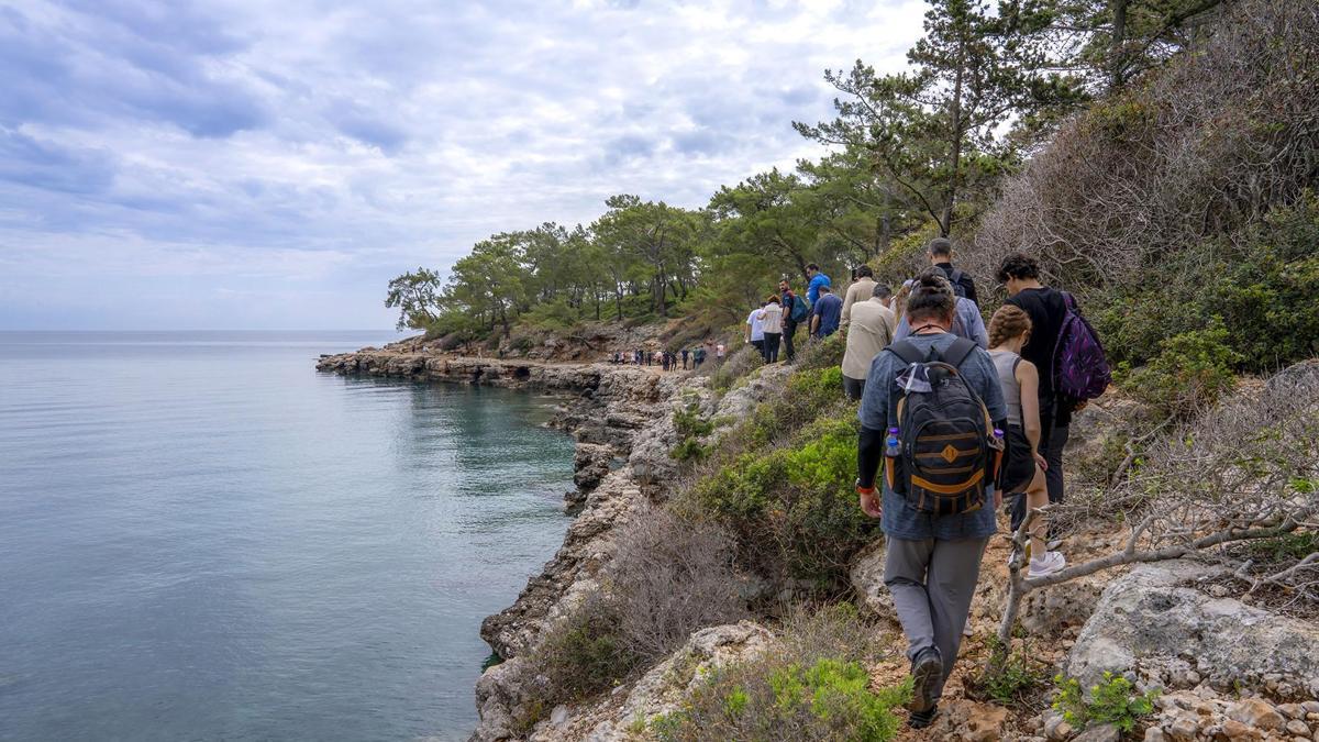 69072af7d931a03263cc3b0c