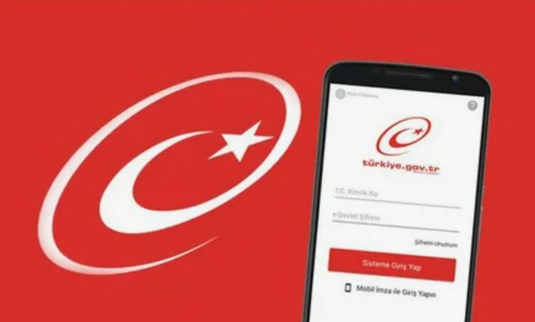 E Devlette çoğu kişinin bilmediği özellikler merak uyandırıyor 1 e devlet 3