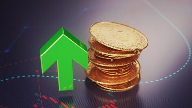 iStock 2214067629 929726