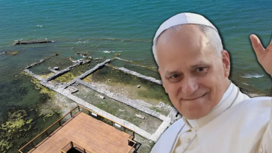 Papa 14. Leo'nun İznik Ziyaretinin Nedeni Nedir? 6 papa 908096 431641