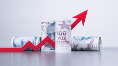 iStock 1427645434 738300