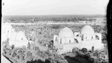 medine55 705840 875935