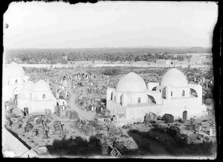 medine55 705840 875935