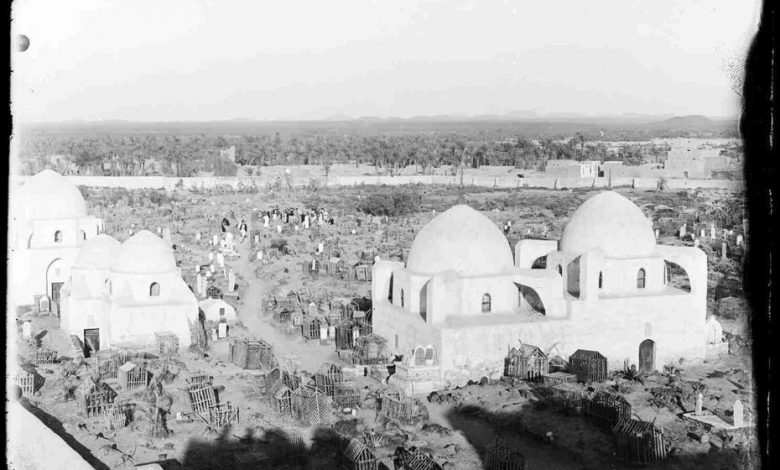 medine55 705840 875935