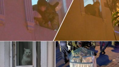 Apartmanda Yangın: Hayat Mücadelesi Verildi 5 yangin 601887