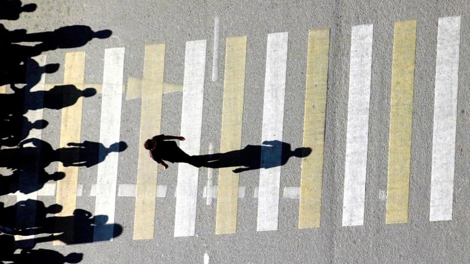 thumbs b c 19105c6a9e044418bd6aac84500d9b44 916453