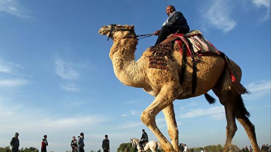 thumbs b c d61ad908e618b66ca8cd8d4d3f9f36cc 5044363